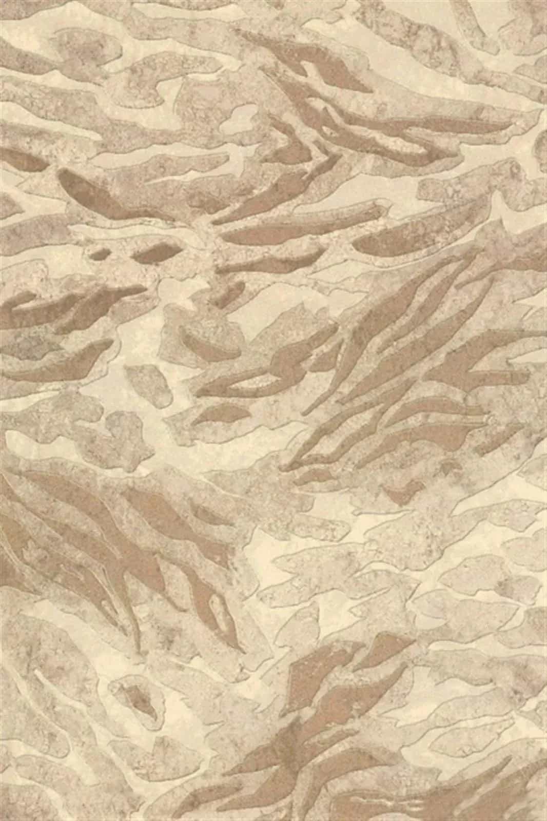 Ковер RAGOLLE Nubian 64218 Прямоугольная 2545 2x2.9м