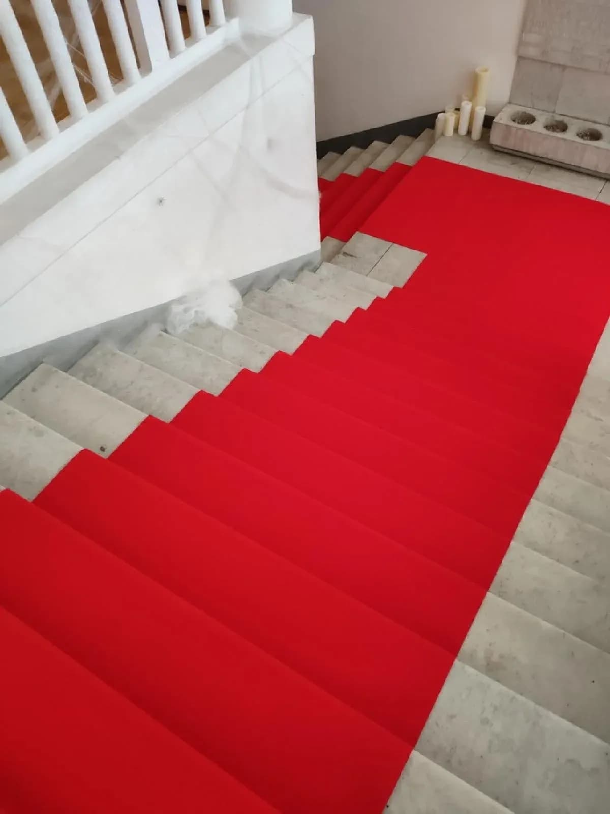 Balsan Elite-R 077 - фото 11