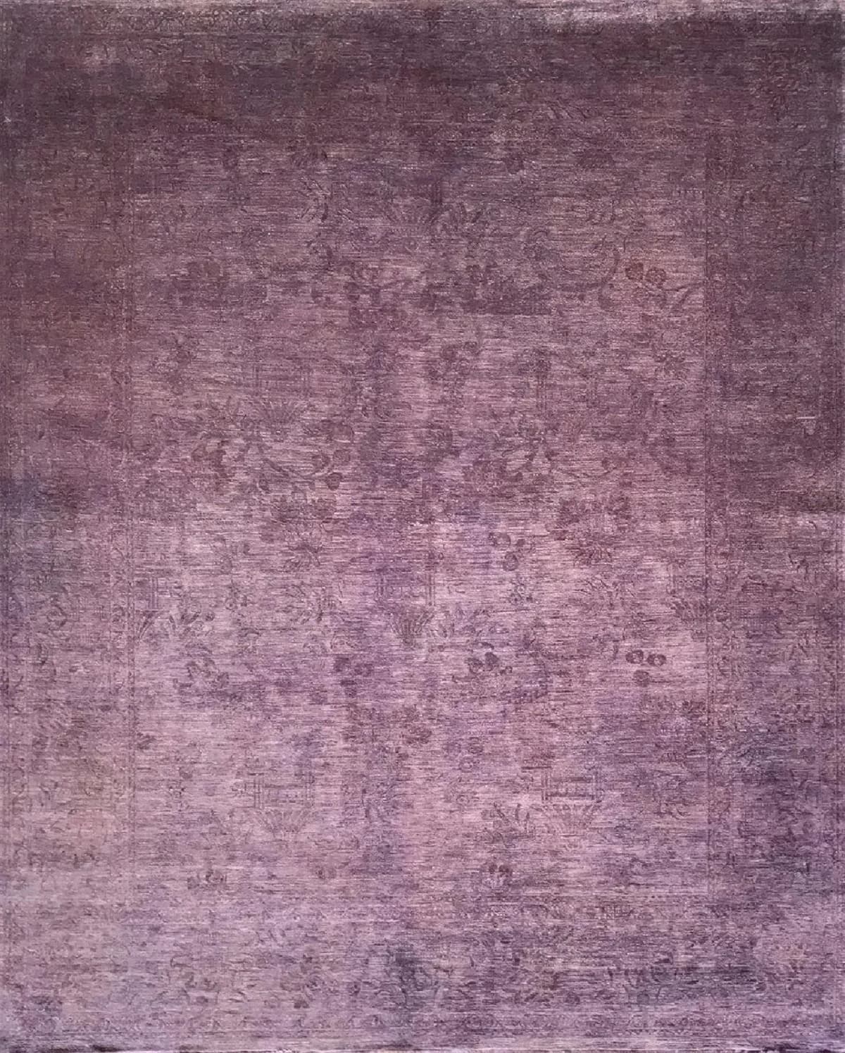 no-model-24488