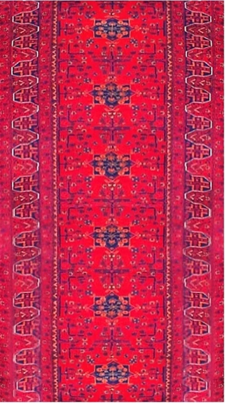 no-model-25551
