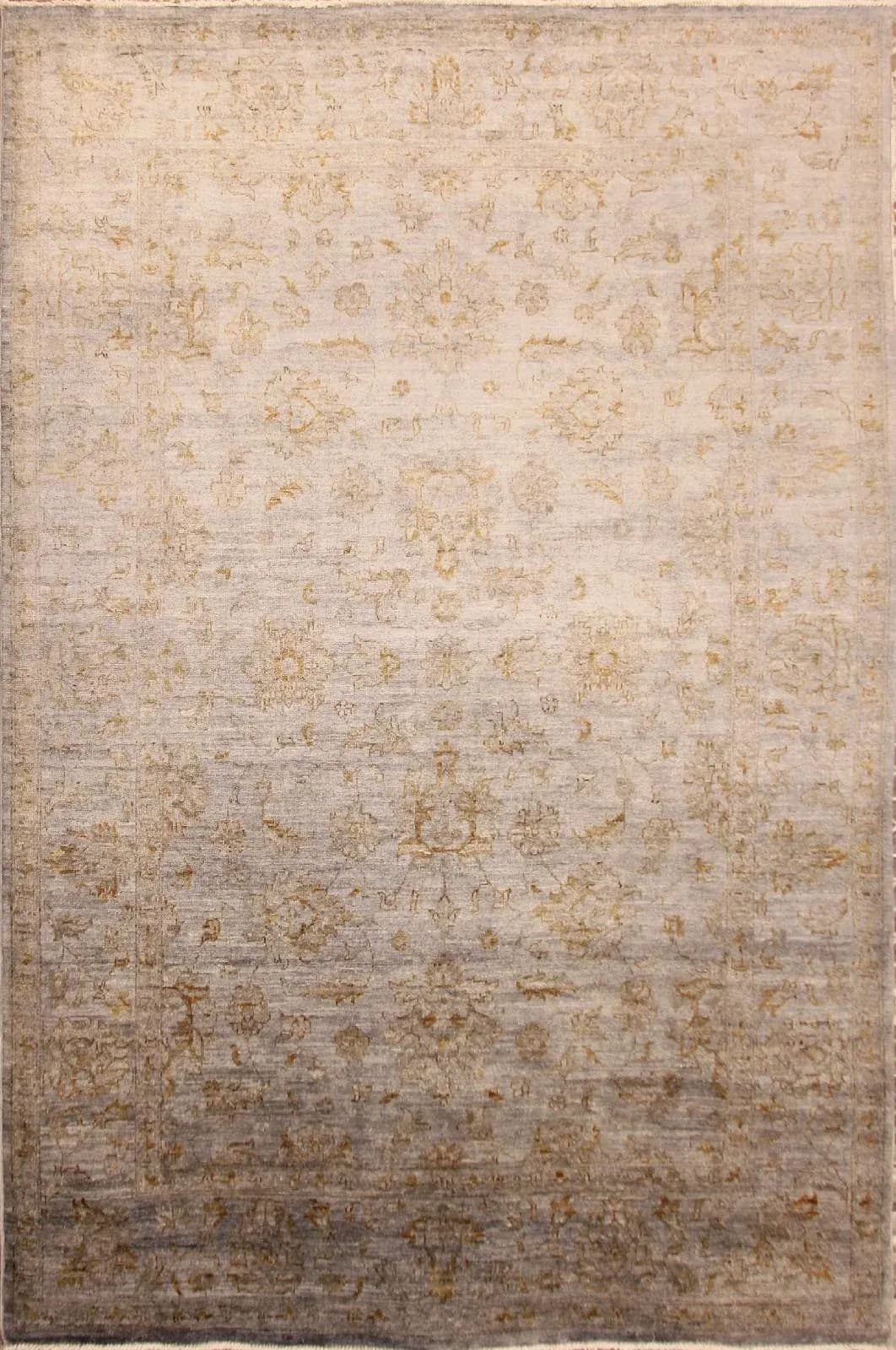 no-model-24205