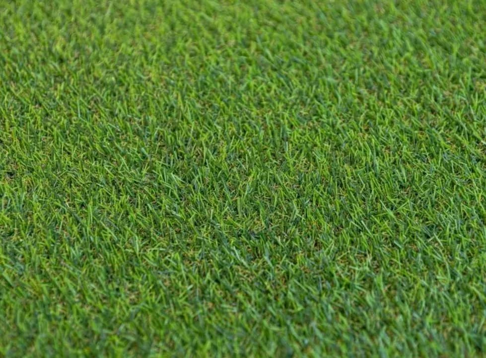Matrix Grass Fantas